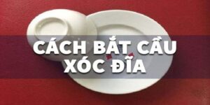 cach-bat-cau-xoc-dia